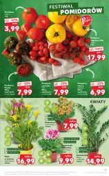 Gazetka promocyjna Kaufland - OFERTA TYGODNIA - Gazetka - ważna od 03.03 do 03.03.2021 - strona 17 - produkty: Kalanchoe, Pomidory