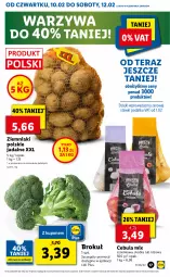 Gazetka promocyjna Lidl - GAZETKA - Gazetka - ważna od 12.02 do 12.02.2022 - strona 17 - produkty: Warzywa, Por, Ziemniaki, Tera