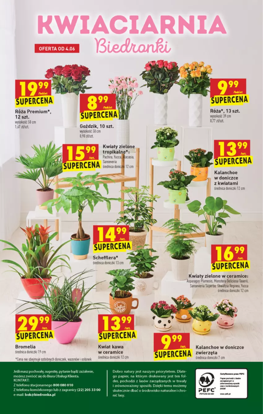 Gazetka promocyjna Biedronka - W tym tygodniu - ważna 02.06 do 09.05.2021 - strona 64 - produkty: Fa, Gra, Kalanchoe, Kawa, Róża, Sante, Sok, Telefon, Tera, Zwierzęta