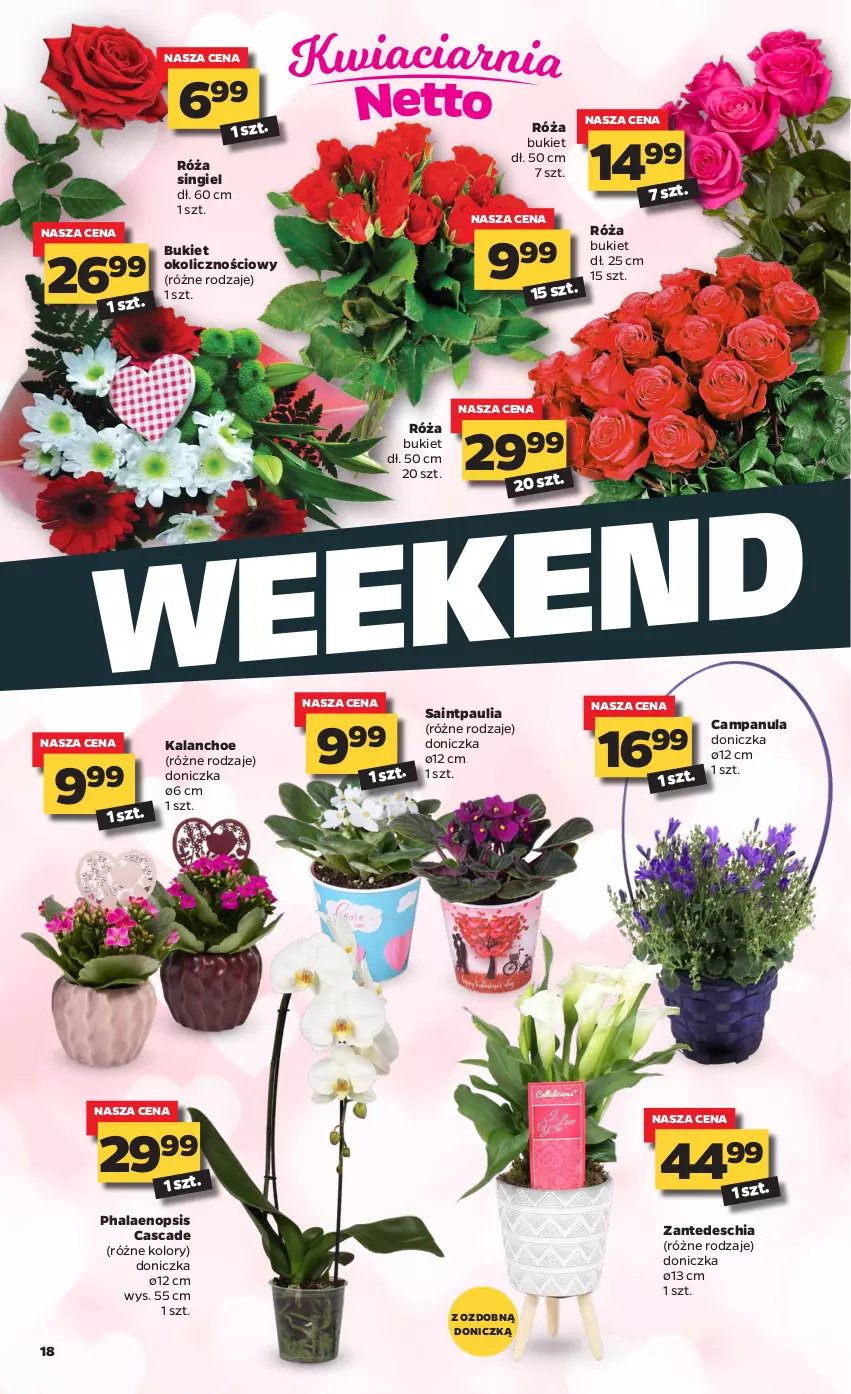 Gazetka promocyjna Netto - Oferta tygodnia - ważna 08.02 do 13.02.2021 - strona 18 - produkty: Bukiet, Campanula, Chia, Kalanchoe, Róża