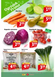 Gazetka promocyjna Prim Market - Gazetka - ważna od 20.03 do 20.03.2024 - strona 6 - produkty: Limonka