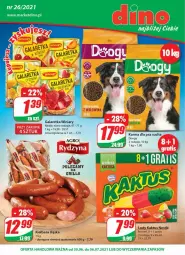Gazetka promocyjna Dino - Gazetka - Gazetka - ważna od 06.07 do 06.07.2021 - strona 1 - produkty: JBL, Gra, Kaktus, Winiary, Lody, Galaretka, Gala, Kiełbasa, Kiełbasa śląska