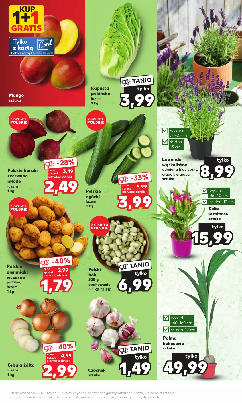 Gazetka promocyjna Kaufland - Mocny Start - ważna 31.07 do 02.08.2023 - strona 7 - produkty: Buraki, Cebula, Czosnek, Gra, Grunt, Kokos, Mango, Palma, Ziemniaki