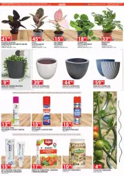Gazetka promocyjna Merkury Market - Gazetka - ważna od 31.07 do 31.07.2023 - strona 48 - produkty: Sok, Tera, Nawóz
