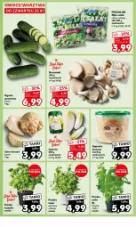 Gazetka promocyjna Kaufland - Gazetka - ważna od 31.01 do 31.01.2024 - strona 6 - produkty: Seler korzeń, Sałat, Bazyl, Bazylia, Grunt, Mięta, Boczniak