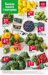 Gazetka promocyjna Stokrotka - Supermarket - Gazetka - ważna od 14.02 do 14.02.2024 - strona 7 - produkty: Warzywa, Papryka, Cytryny, Sałat, Limonka, Owoce, Rzodkiewka, Mięso