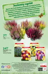 Gazetka promocyjna Auchan - Gazetka Sezonowe korzyści Hipermarket Auchan - Gazetka - ważna od 06.09 do 06.09.2023 - strona 40 - produkty: Ser, Mus, Koc, Gra, Tera, LG, Fa