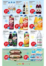 Gazetka promocyjna Prim Market - Gazetka - Gazetka - ważna od 08.12 do 08.12.2021 - strona 10 - produkty: Sok pomarańczowy, Sok, Ser, Por, Mus, Big Milk, Lody, Sok jabłkowy, Muszynianka, Syrop, Woda, Syropy, Psi Patrol, Nektar, Hortex
