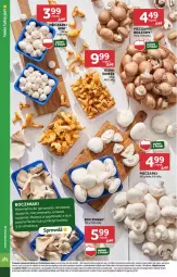 Gazetka promocyjna Stokrotka - Supermarket - Gazetka - ważna od 07.08 do 07.08.2024 - strona 14 - produkty: Piec, Warzywa, Kotlet, Owoce, Mięso, Boczniak