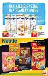 Gazetka promocyjna PoloMarket - Gazetka promocyjna r - Gazetka - ważna od 23.03 do 23.03.2021 - strona 31 - produkty: Corn flakes, Ryż, Danone, Tera, Figi, Alpro, Napój, Olej, Kokos
