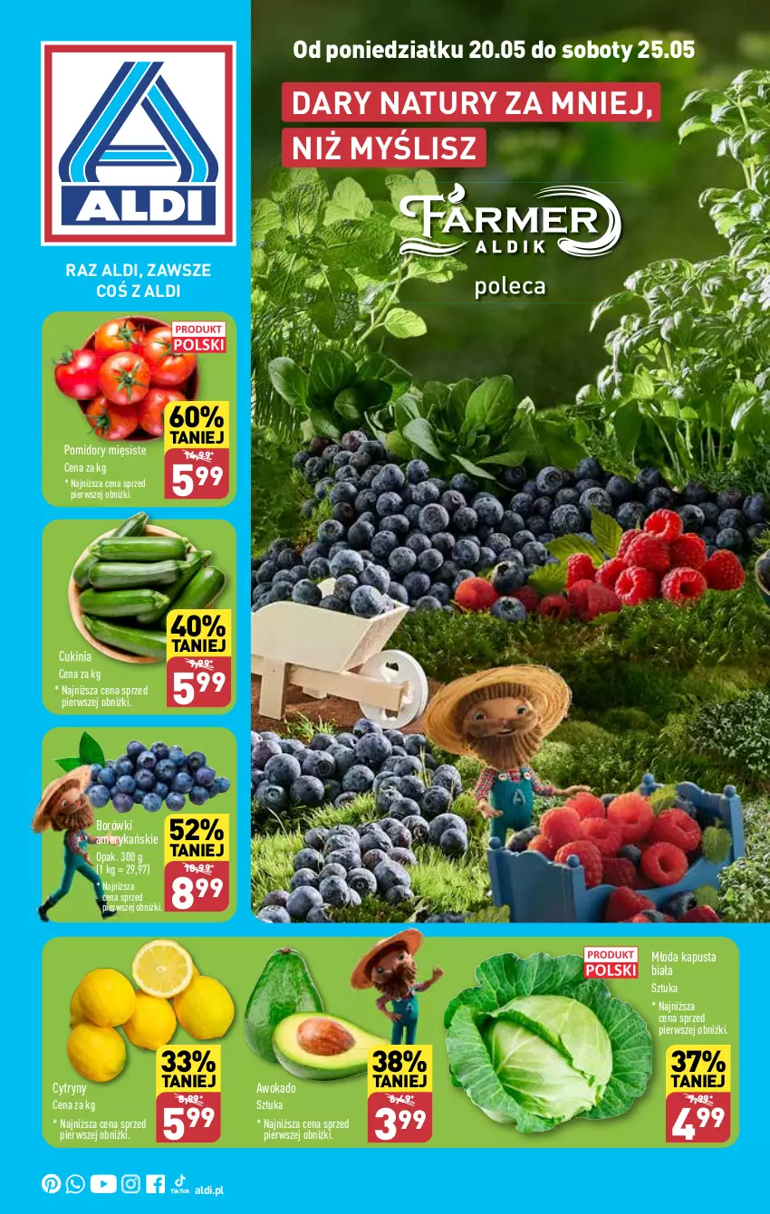 Gazetka promocyjna Aldi - Farmer ALDIK poleca świeże owoce i warzywa - ważna 20.05 do 25.05.2024 - strona 1 - produkty: Cytryny, Pomidory