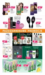 Gazetka promocyjna Drogerie Polskie - Gazetka - Gazetka - ważna od 31.10 do 31.10.2021 - strona 4 - produkty: Dove, L’Oréal, Wella, Garnier, Fa