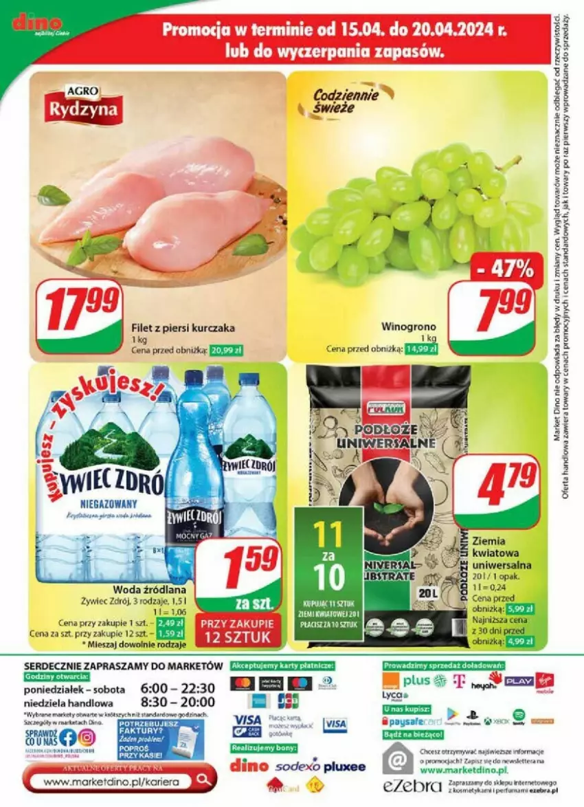 Gazetka promocyjna Dino - ważna 17.04 do 23.04.2024 - strona 57 - produkty: Filet z piersi kurczaka, Kurczak, LANA, Tera, Wino, Woda