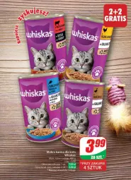 Gazetka promocyjna Dino - Gazetka - ważna od 23.04 do 23.04.2024 - strona 49 - produkty: Mokra karma, Whiskas, Mars, Gala