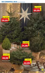 Gazetka promocyjna Lidl - GAZETKA OD 09.12 DO 12.12 - Gazetka - ważna od 12.12 do 12.12.2021 - strona 61 - produkty: Gin, Gra