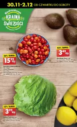Gazetka promocyjna Biedronka - Okazje Tygodnia Mikołaj - Gazetka - ważna od 06.12 do 06.12.2023 - strona 20 - produkty: Sałata lodowa, Sałat, Pomidory
