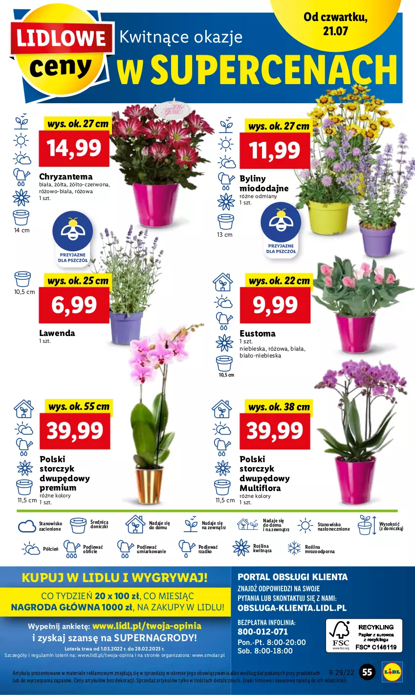 Gazetka promocyjna Lidl - GAZETKA - ważna 21.07 do 23.07.2022 - strona 55 - produkty: Chryzantema, Cień, Flora, Gry, Mola, O nas, Por, Sok, Storczyk