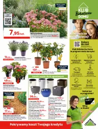 Gazetka promocyjna Leroy Merlin - Wszystko do ogrodu - Gazetka - ważna od 23.06 do 23.06.2021 - strona 5 - produkty: Top, Por, Gra, Inka, Papier, Kosz, O nas, Tran, Sport, Gres, Ogród, Pokrywa, Fa