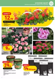 Gazetka promocyjna Castorama - Gazetka - ważna od 09.05 do 09.05.2023 - strona 4 - produkty: Rama, Kask, Pistolet, Astor, Nawóz