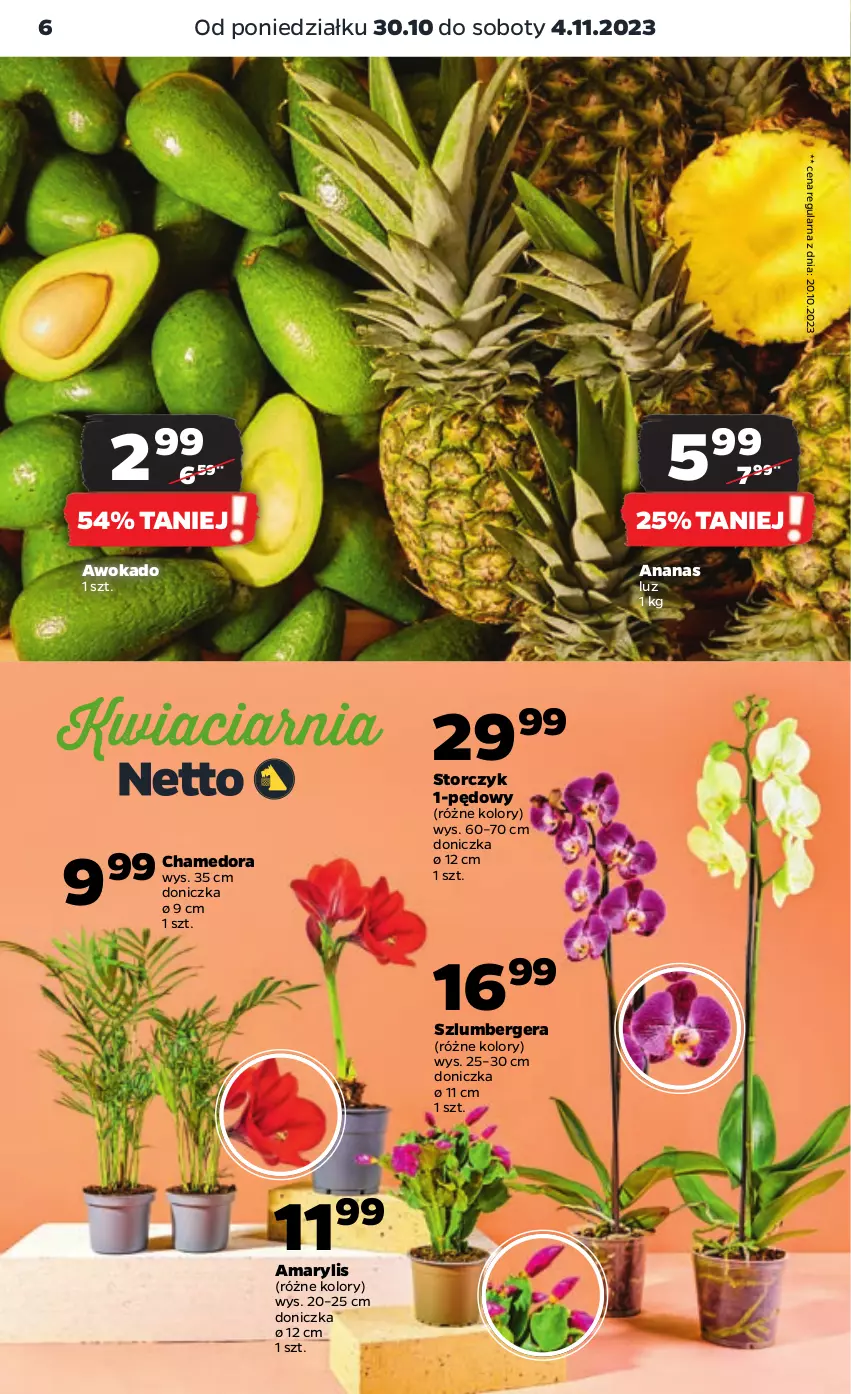 Gazetka promocyjna Netto - Artykuły spożywcze - ważna 30.10 do 04.11.2023 - strona 6 - produkty: Amarylis, Ananas, Storczyk, Szlumbergera