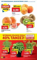 Gazetka promocyjna Lidl - GAZETKA - Gazetka - ważna od 30.06 do 30.06.2021 - strona 10 - produkty: Por, Gra, Pietruszka, Kolendra, Morela, Kiwi, Bazyl, Bazylia, Grejpfrut