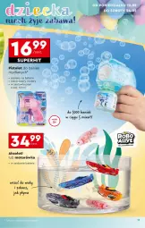 Gazetka promocyjna Biedronka - Okazje Tygodnia - Gazetka - ważna od 24.05 do 24.05.2025 - strona 13 - produkty: Motorówka, Silan, Pistolet