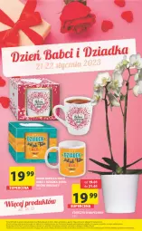 Gazetka promocyjna Arhelan - Gazetka - Gazetka - ważna od 22.01 do 22.01.2023 - strona 20 - produkty: Storczyk, Kubek