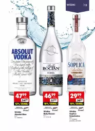 Gazetka promocyjna Delikatesy Centrum - Delibarek DC24-DC25 - Gazetka - ważna od 22.06 do 22.06.2025 - strona 13 - produkty: Biały Bocian, Por, Soplica, Absolut, O nas, Wódka