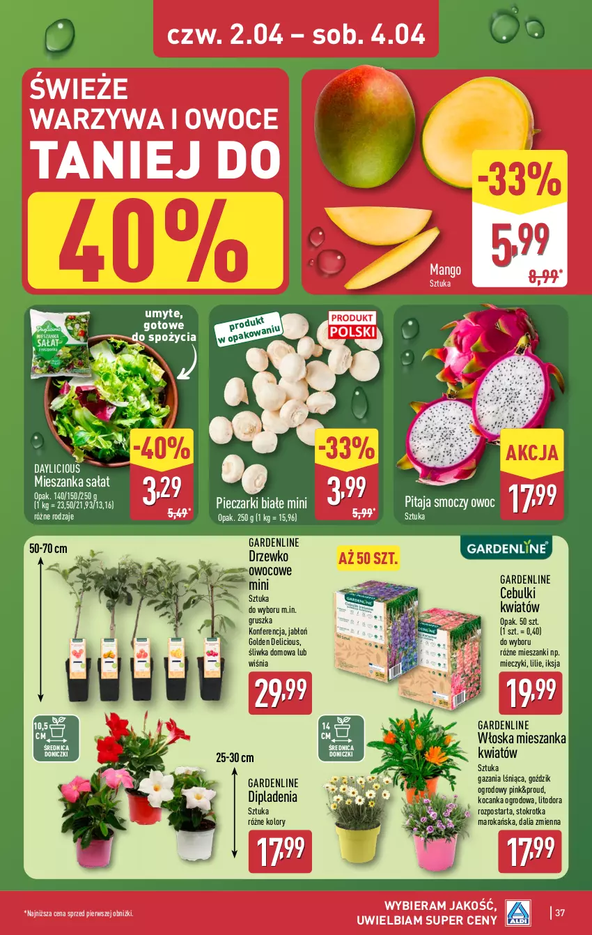 Gazetka promocyjna Aldi - Pełna oferta - ważna 30.03 do 04.04.2026 - strona 37 - produkty: Koc, Mango, Miecz, Mieszanka sałat, Owoce, Piec, Sałat, Tarta, Warzywa, Warzywa i owoce