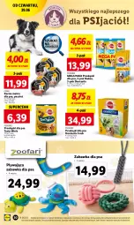 Gazetka promocyjna Lidl - GAZETKA - Gazetka - ważna od 01.07 do 01.07.2023 - strona 38 - produkty: Kurczak, Kaczka