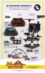Gazetka promocyjna Netto - Gazetka non food - Gazetka - ważna od 09.10 do 09.10.2021 - strona 1 - produkty: BIC, LEGO, Drapak, Legowisko