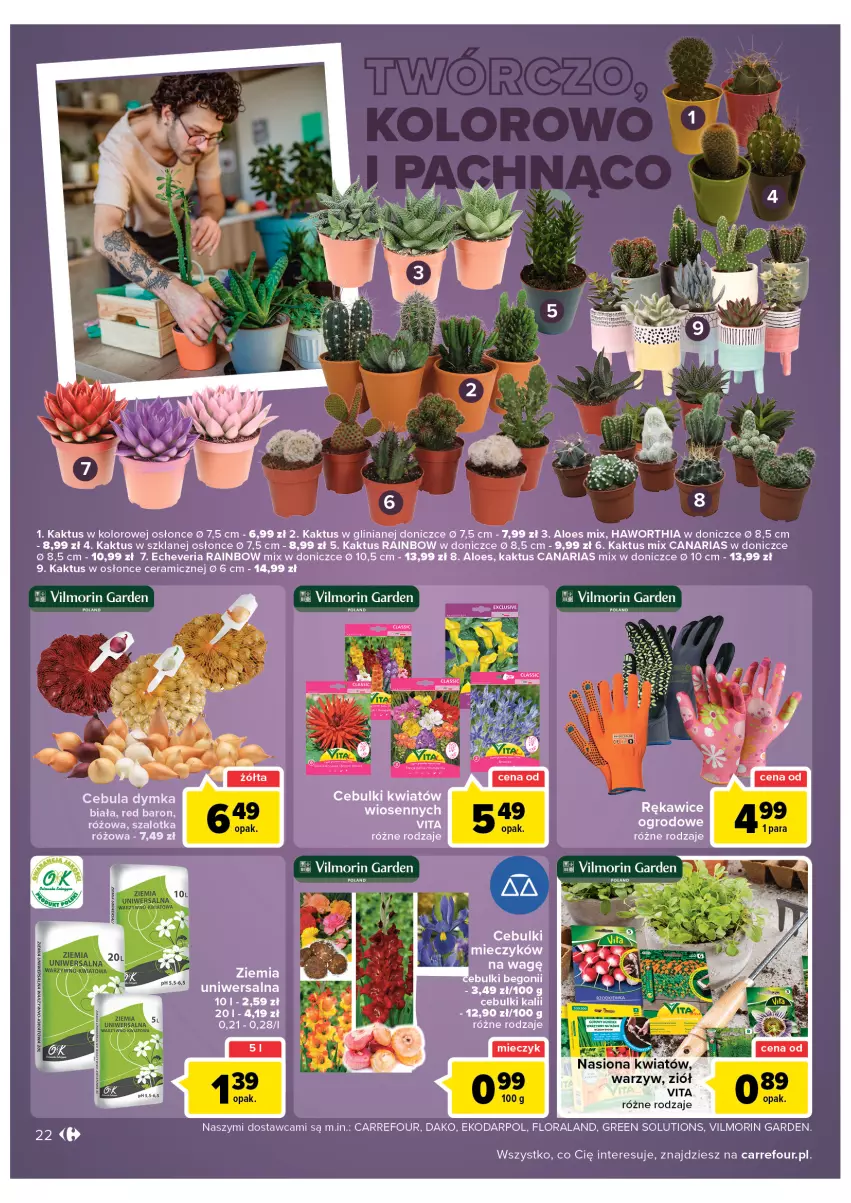 Gazetka promocyjna Carrefour - Gazetka Carrefour Zyskoteka - ważna 15.02 do 21.02.2022 - strona 22 - produkty: Cebula, Flora, Kaktus, Kiwi, LG, Rękawice, Szal