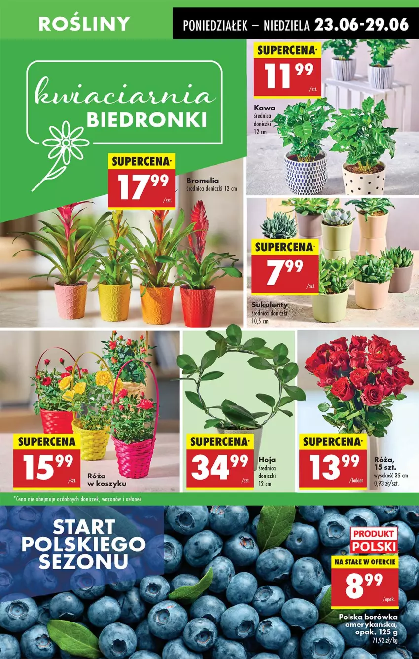 Gazetka promocyjna Biedronka - Od Poniedziałku - ważna 23.06 do 28.06.2025 - strona 15 - produkty: Borówka, Bromelia, Kawa