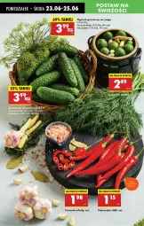 Gazetka promocyjna Biedronka - Od Poniedziałku - Gazetka - ważna od 28.06 do 28.06.2025 - strona 20 - produkty: Ogórek, Czosnek, Grunt