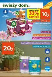 Gazetka promocyjna Dealz - Gazetka - ważna od 15.01 do 15.01.2025 - strona 13 - produkty: Miód, Bazyl, Bazylia, Herbata, Mango, Olej, LG