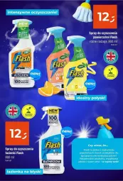 Gazetka promocyjna Dealz - Gazetka - ważna od 15.01 do 15.01.2025 - strona 22 - produkty: Spray do czyszczenia, Fa