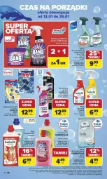 Gazetka promocyjna Carrefour - Gazetka Carrefour, Market od poniedziału! - Gazetka - ważna od 17.01 do 17.01.2026 - strona 48 - produkty: Ludwik, Domestos, Spray do czyszczenia, Zawieszki, Bref, Cillit Bang, Sanytol, Fa
