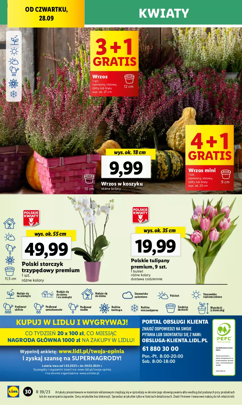 Gazetka promocyjna Lidl - GAZETKA - ważna 28.09 do 30.09.2023 - strona 48 - produkty: Bukiet, Cień, Gra, Gry, Kosz, Mola, O nas, Por, Sok, Storczyk, Tulipan