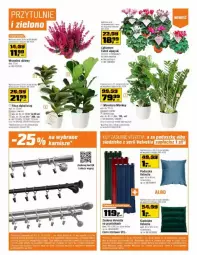 Gazetka promocyjna Obi - Gazetka - ważna od 24.10 do 24.10.2023 - strona 10 - produkty: Cyklamen, Tera, Zasłona, Velvet, Siedzisko, Poduszka