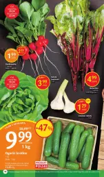 Gazetka promocyjna Delikatesy Centrum - Gazetka DC15 - Gazetka - ważna od 26.04 do 26.04.2023 - strona 14 - produkty: Rum, Czosnek, Tera, Sałat, Masło, Rzodkiewka
