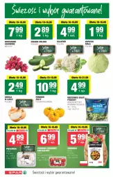 Gazetka promocyjna Spar - Spar - Gazetka - ważna od 17.09 do 17.09.2025 - strona 2 - produkty: Cebula, Kalafior, Ziemniaki, Sałat, Mieszanka sałat, Wino, Fa