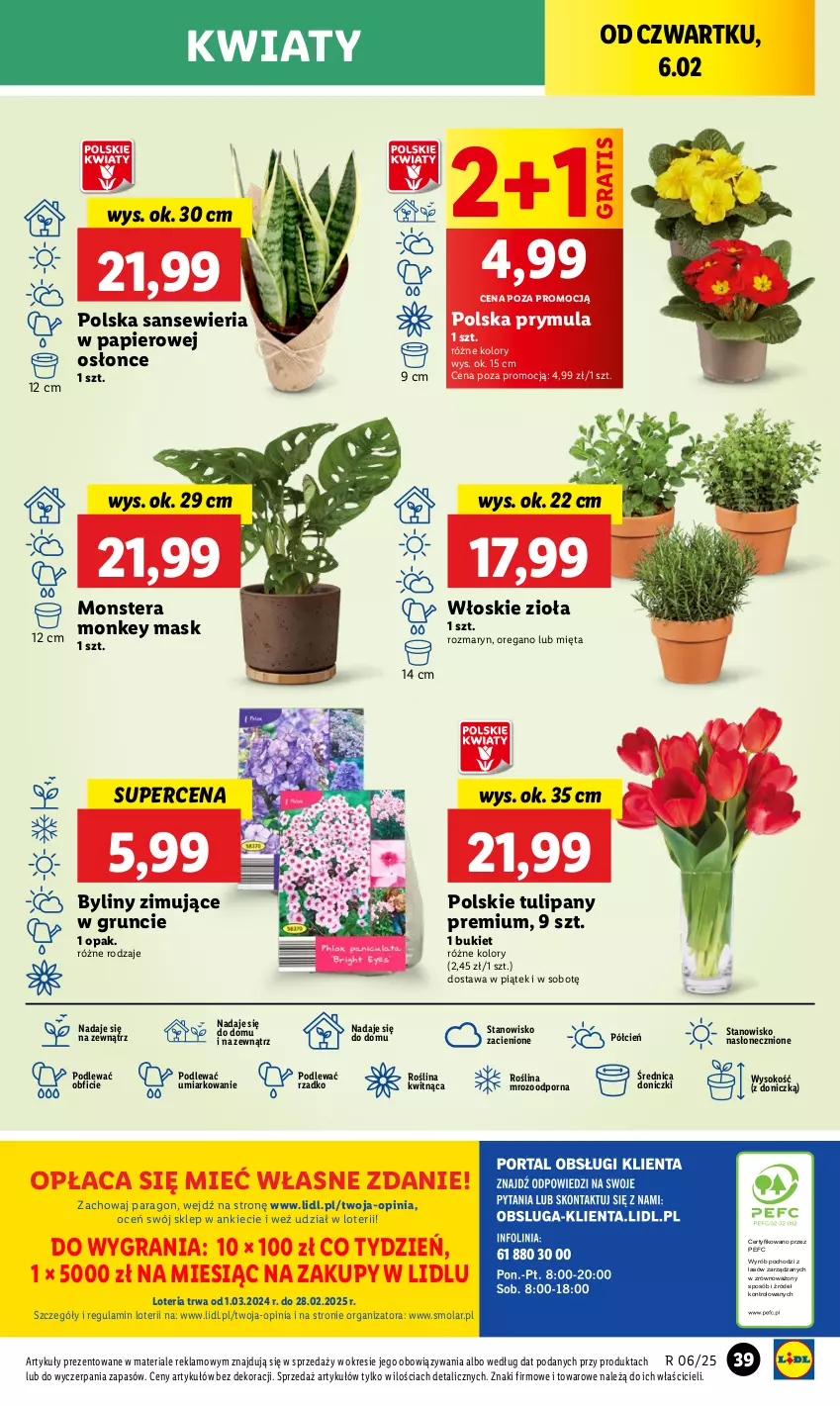 Gazetka promocyjna Lidl - GAZETKA - ważna 06.02 do 08.02.2025 - strona 49 - produkty: Bukiet, Cień, Gra, Mięta, Mola, O nas, Papier, Por, Prymula, Sok, Tera, Tulipan