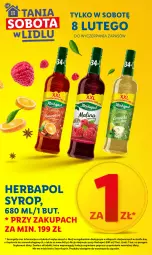 Gazetka promocyjna Lidl - GAZETKA - Gazetka - ważna od 08.02 do 08.02.2025 - strona 6 - produkty: Syrop, Znicz, Suplement diety, Herbapol