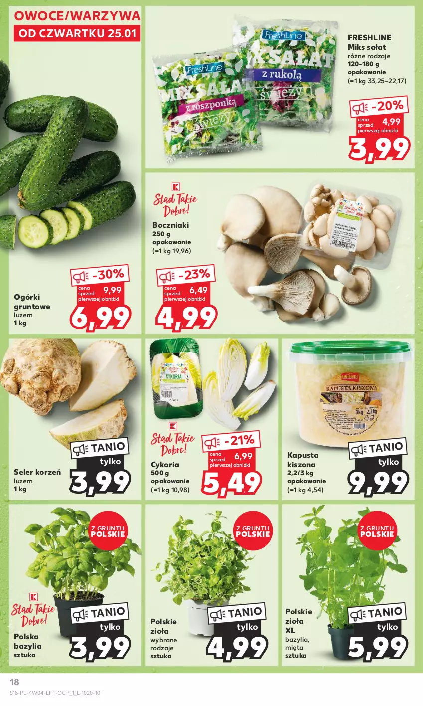 Gazetka promocyjna Kaufland - Gazetka tygodnia - ważna 25.01 do 31.01.2024 - strona 18 - produkty: Bazyl, Bazylia, Boczniak, Grunt, Mięta, Owoce, Sałat, Seler korzeń, Warzywa