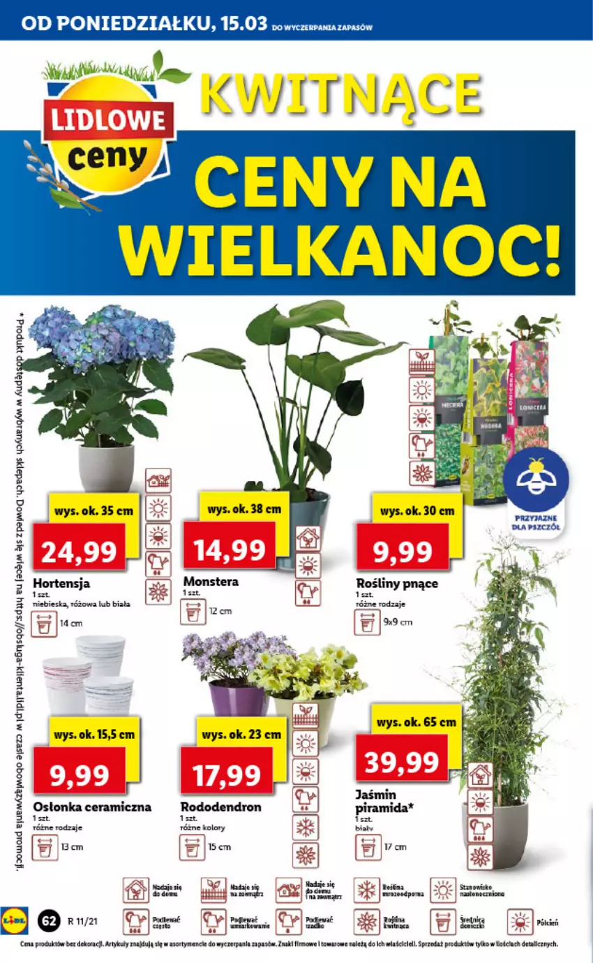 Gazetka promocyjna Lidl - GAZETKA - ważna 15.03 do 17.03.2021 - strona 62 - produkty: Merci, Osłonka, Róża