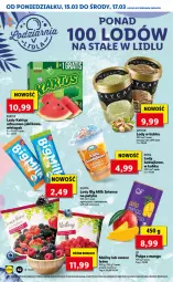 Gazetka promocyjna Lidl - GAZETKA - Gazetka - ważna od 17.03 do 17.03.2021 - strona 42 - produkty: Big Milk, Lody, Maliny, Owoce