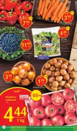 Gazetka promocyjna Delikatesy Centrum - Gazetka DC28 - Gazetka - ważna od 26.07 do 26.07.2023 - strona 16 - produkty: Cebula, Ziemniaki, Sałat, LG