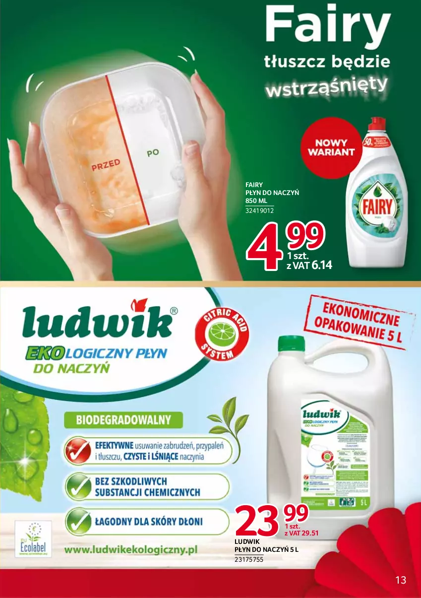 Gazetka promocyjna Selgros - Debiuty w Selgros - ważna 10.02 do 11.02.2021 - strona 13 - produkty: Fa, Fairy, Ludwik