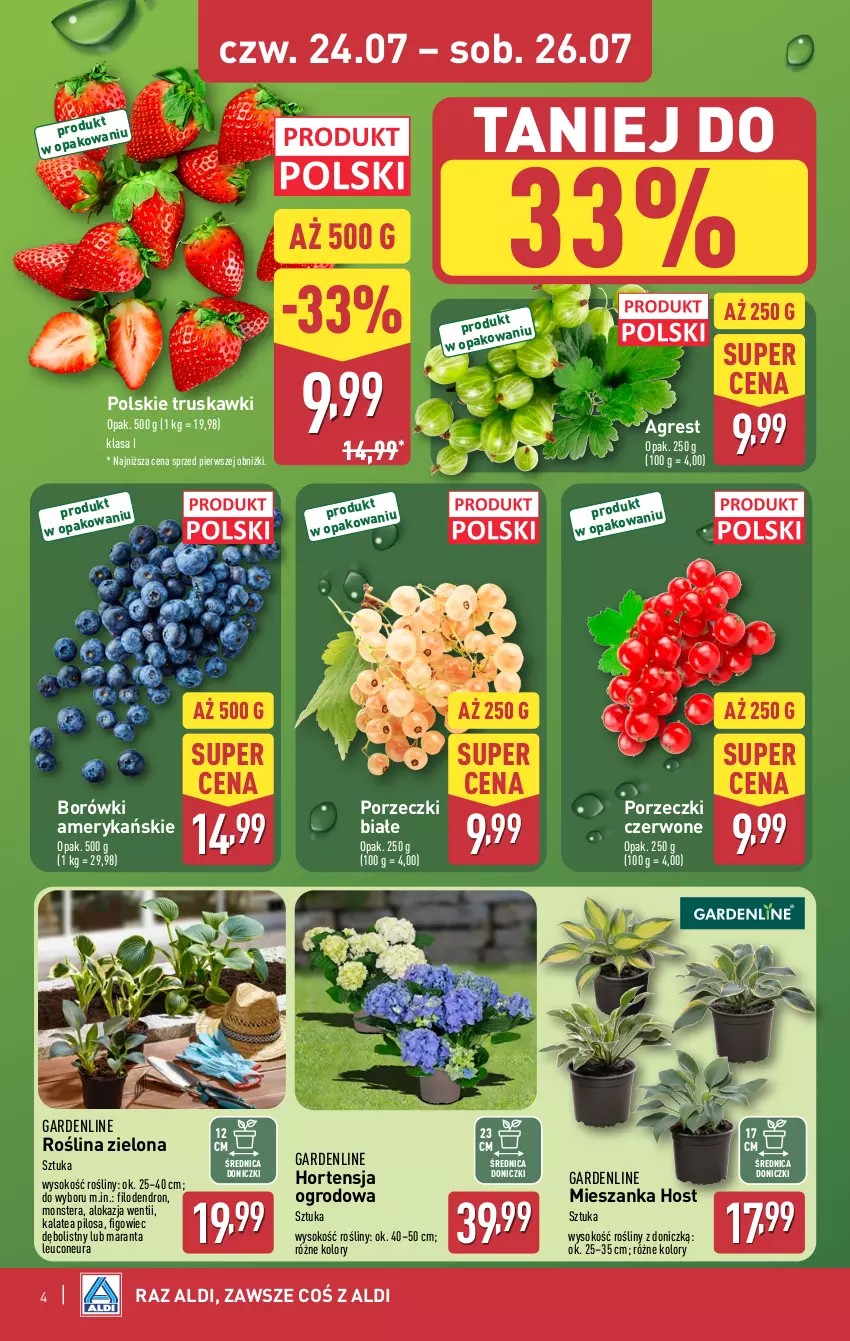 Gazetka promocyjna Aldi - Oferta weekendowa - ważna 24.07 do 26.07.2025 - strona 4 - produkty: Gres, Pilos, Por, Porzeczki czerwone, Sok, Tera, Truskawki