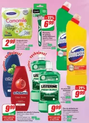 Gazetka promocyjna Dino - Gazetka - ważna od 14.05 do 14.05.2024 - strona 57 - produkty: Domestos, Listerine, Płyn do płukania, Schauma, Szampon, Podpaski, Płyn do mycia